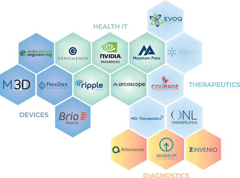 MBVF Partner chart