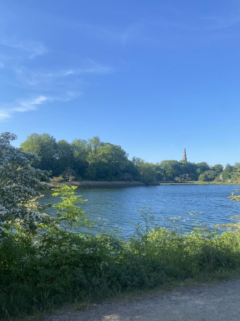 A picturesque scene from CFE student Anushka's time abroad. The image features lush greenery and a blue lake with blue skies.