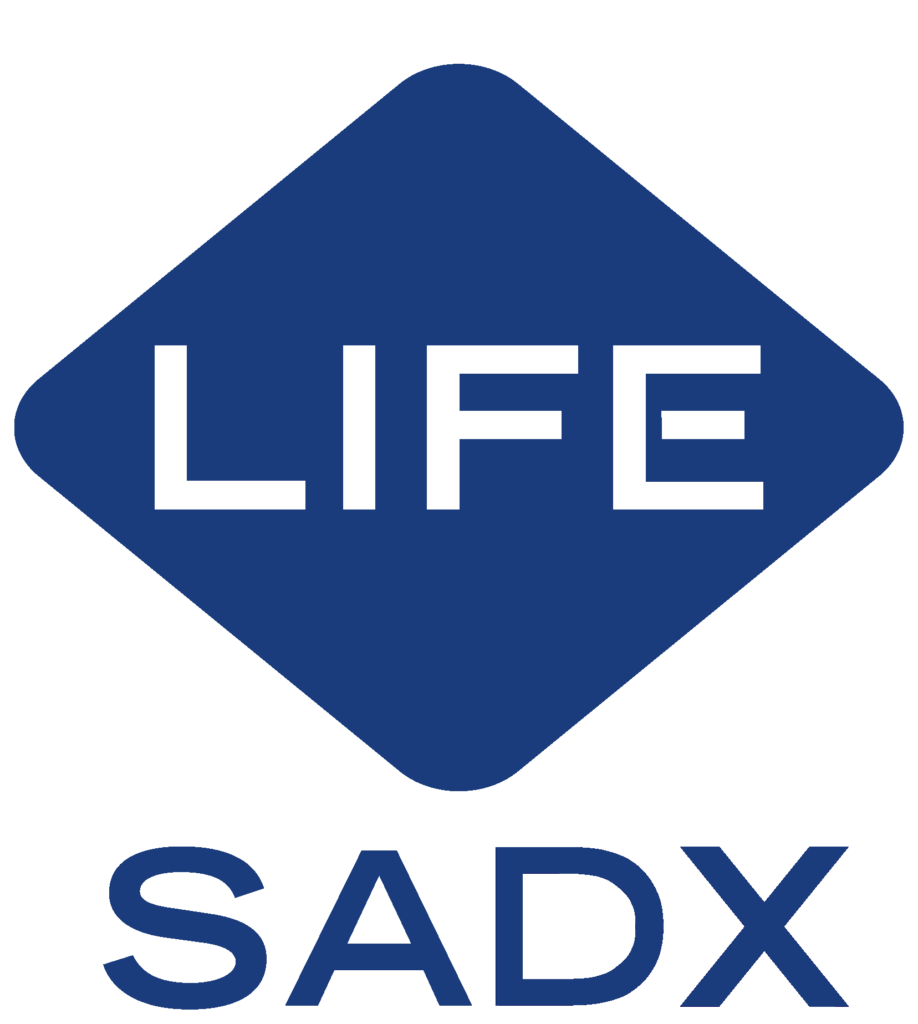 life sadx logo