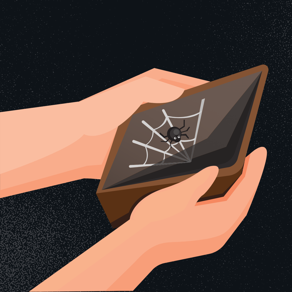 Two illustrated hands are shown opening an empty wallet, full of spider webs and a little spider.